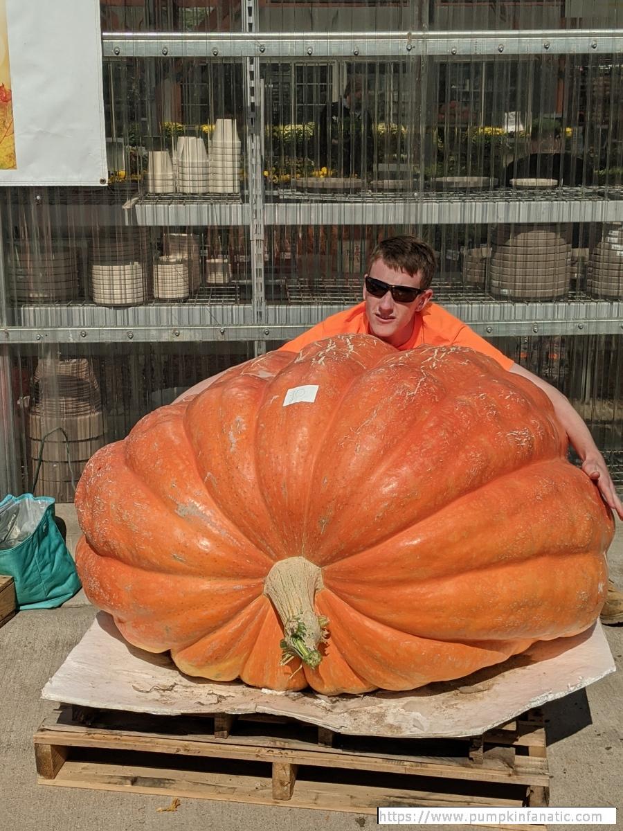 Progeny for Pumpkin seed (1718 Ceja 2016).
